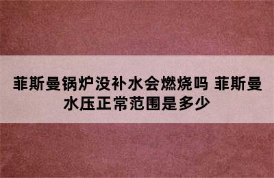 菲斯曼锅炉没补水会燃烧吗 菲斯曼水压正常范围是多少